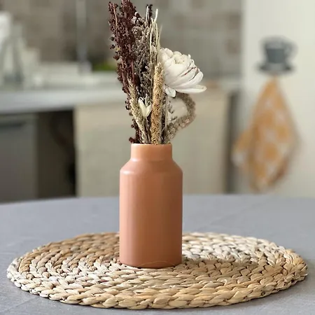 Toctoc - Boho Style * Катания